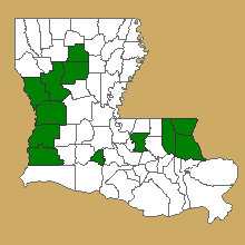 4.24 fig 4 range of titi in Louisiana.jpg thumbnail